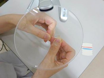 �X�^���h�����[�y���g���Đj�Ɏ���ʂ��Ă���摜